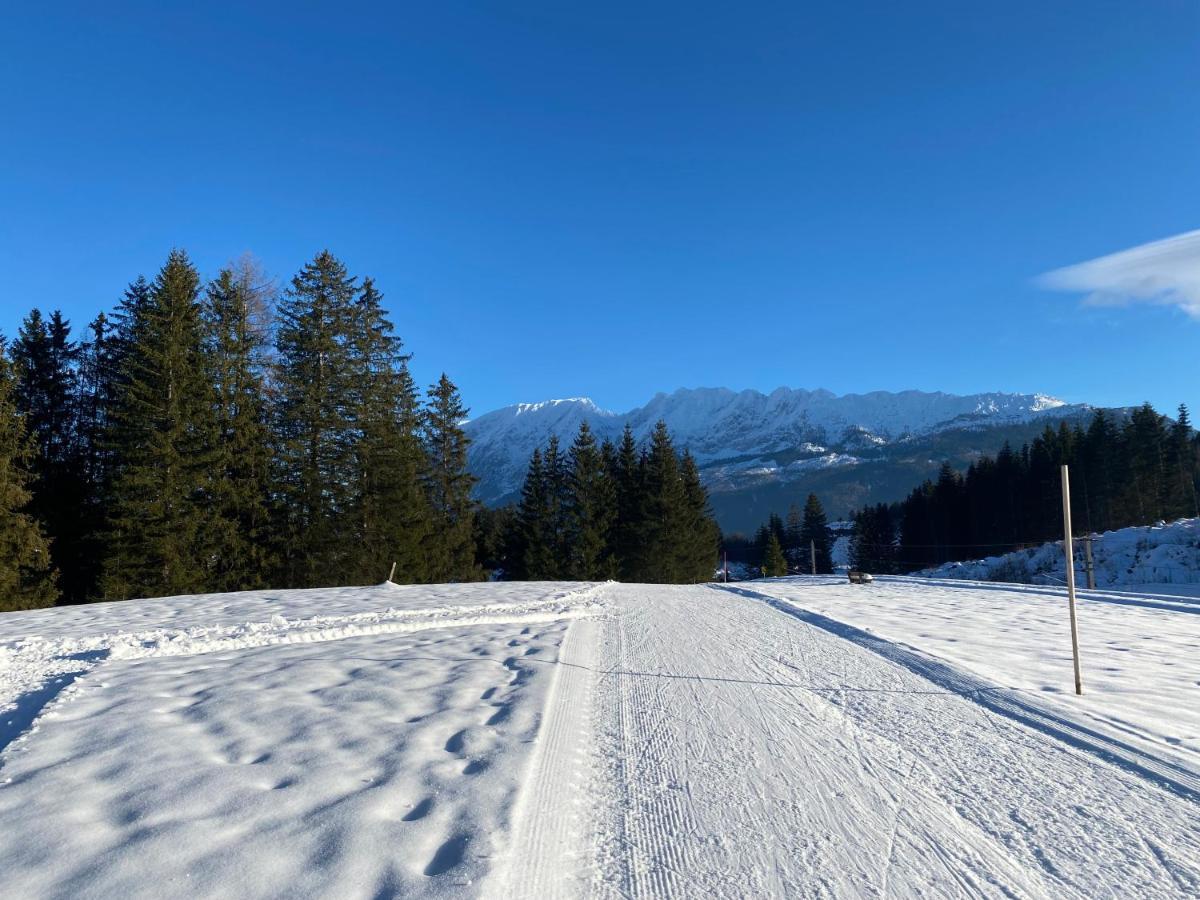 Obersdorfer Hof Pensionat Bad Mitterndorf Exteriör bild
